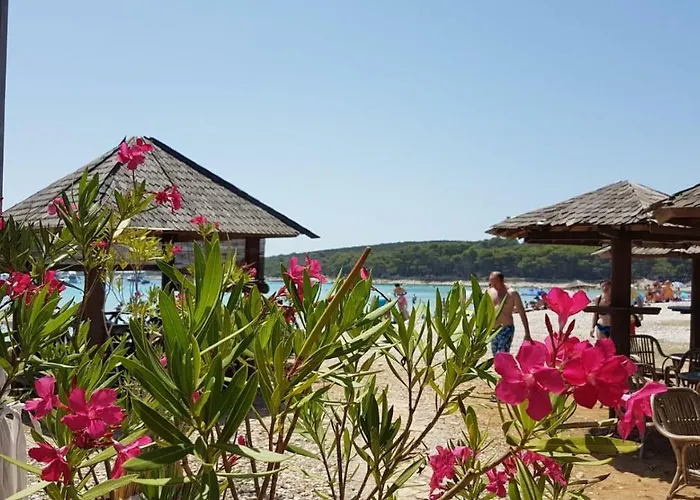 Casa Maluca Apartman Vir