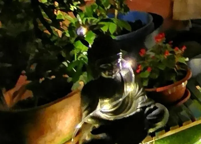 Casa Maluca 아파트 비르